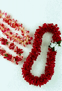 Click Here For ~ Fresh Flowers & Leis