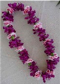 Purple Dendrobium / Pink Carnation